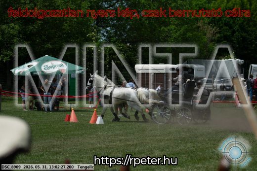 Mintakép 20260531-3234