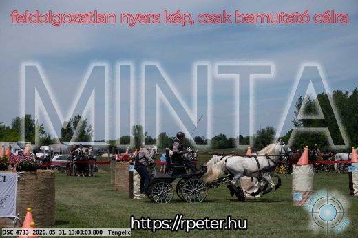 Mintakép 20260531-3250