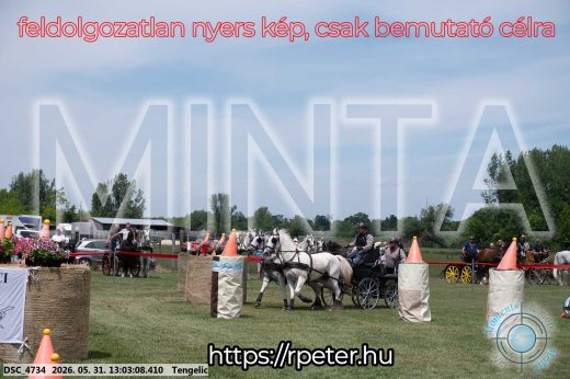 Mintakép 20260531-3251
