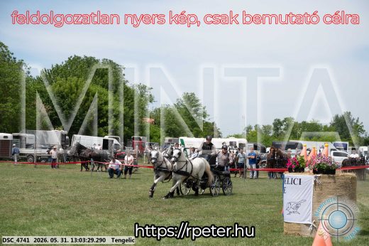 Mintakép 20260531-3258
