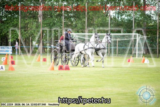 Mintakép 20260614-75