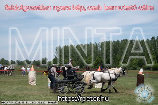 Mintakép 20260531-3262