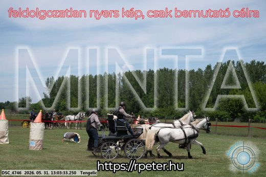 Mintakép 20260531-3263