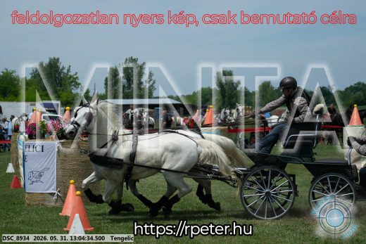Mintakép 20260531-3280