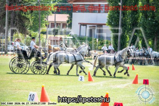 Mintakép 20260627-10