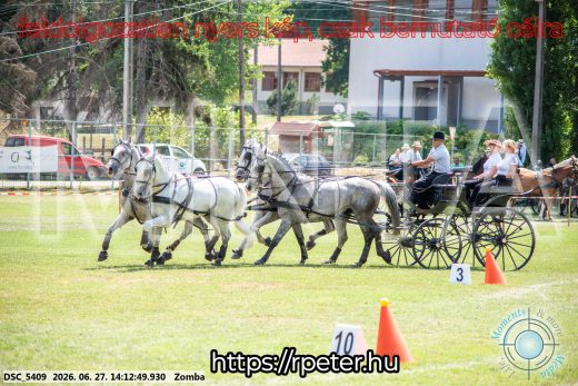 Mintakép 20260627-38