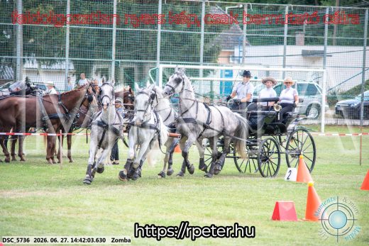 Mintakép 20260627-53