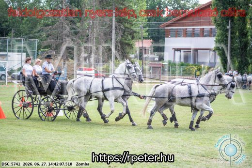 Mintakép 20260627-58