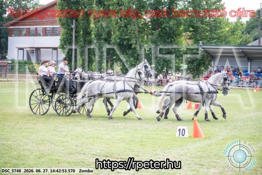 Mintakép 20260627-63