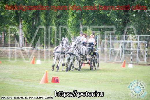 Mintakép 20260627-65