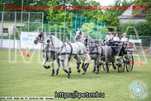 Mintakép 20260627-70