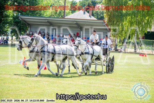 Mintakép 20260627-83