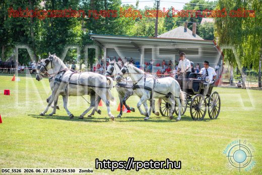 Mintakép 20260627-84