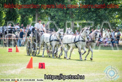 Mintakép 20260627-86