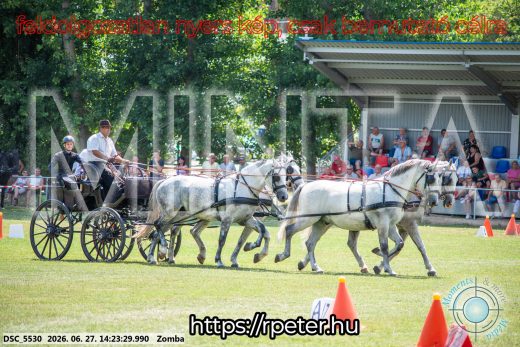 Mintakép 20260627-87
