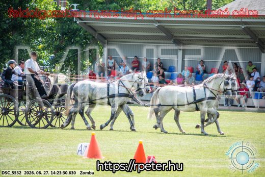 Mintakép 20260627-89