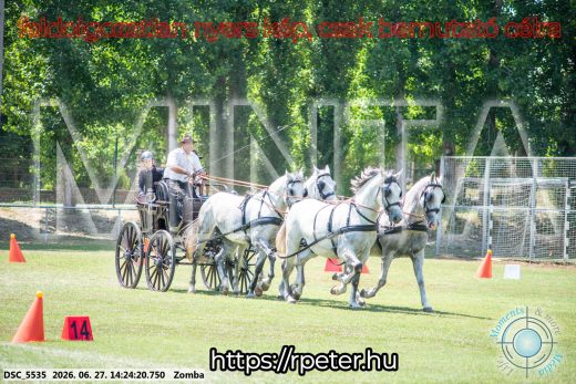 Mintakép 20260627-92