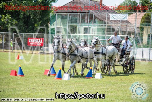 Mintakép 20260627-101