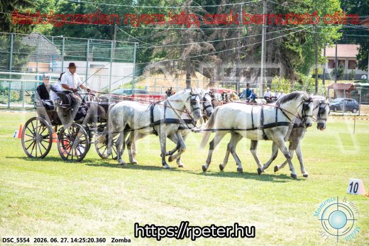 Mintakép 20260627-105