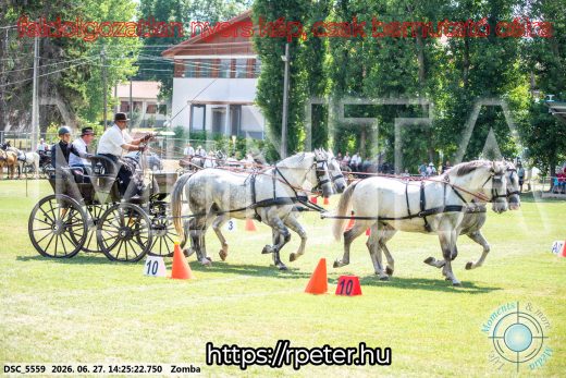 Mintakép 20260627-107