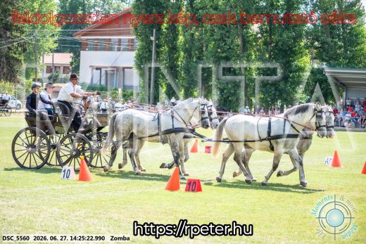 Mintakép 20260627-108
