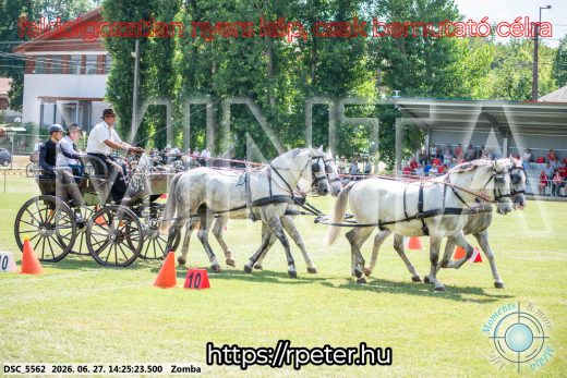 Mintakép 20260627-110