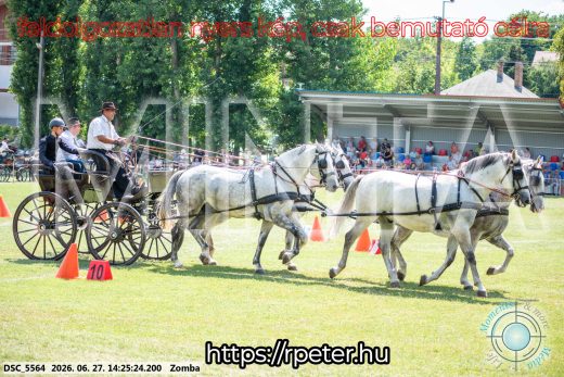 Mintakép 20260627-112
