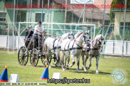 Mintakép 20260627-113