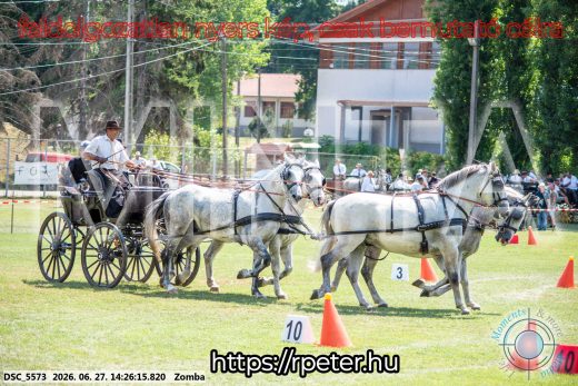Mintakép 20260627-118