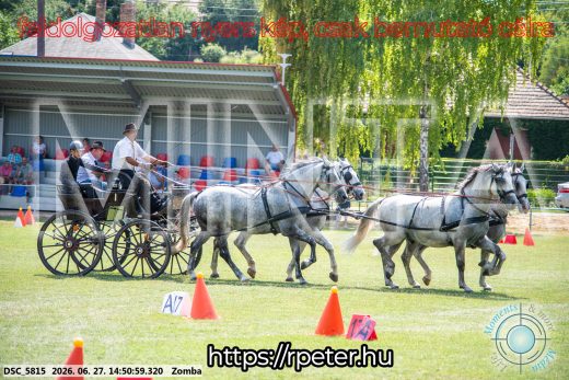 Mintakép 20260627-126