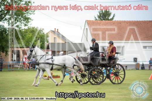 Mintakép 20260614-94