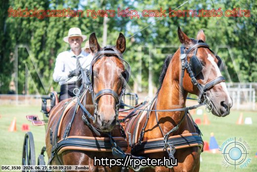 Mintakép 20260627-170