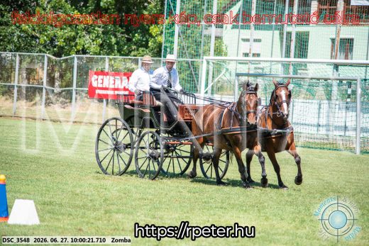 Mintakép 20260627-177