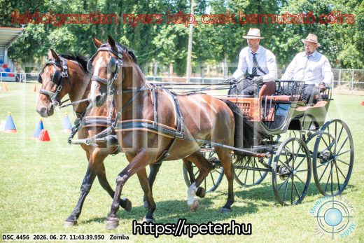 Mintakép 20260627-189