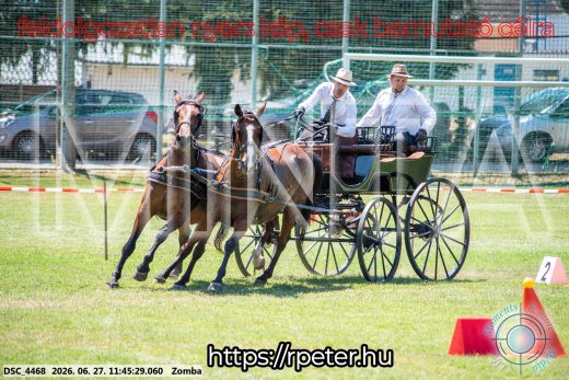 Mintakép 20260627-194