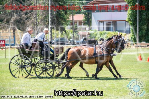 Mintakép 20260627-196