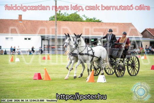 Mintakép 20260614-98
