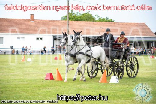 Mintakép 20260614-99