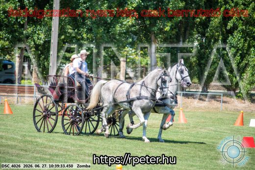 Mintakép 20260627-240