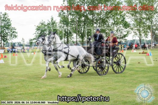 Mintakép 20260614-102