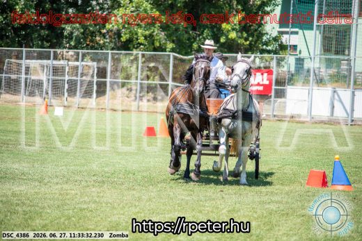 Mintakép 20260627-249