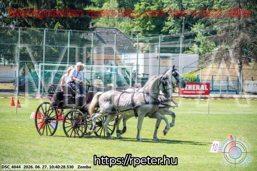 Mintakép 20260627-254