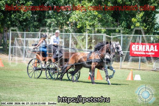 Mintakép 20260627-257