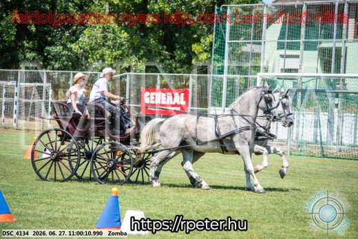 Mintakép 20260627-279