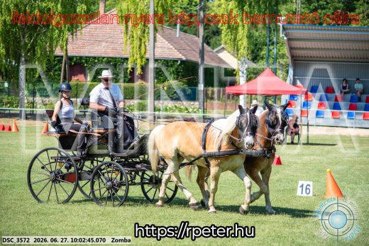 Mintakép 20260627-296