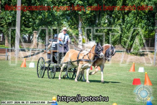 Mintakép 20260627-298