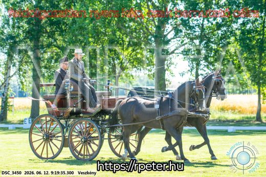 Mintakép 20260612-223