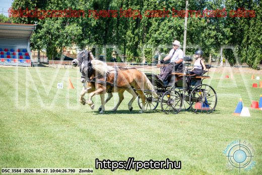 Mintakép 20260627-309