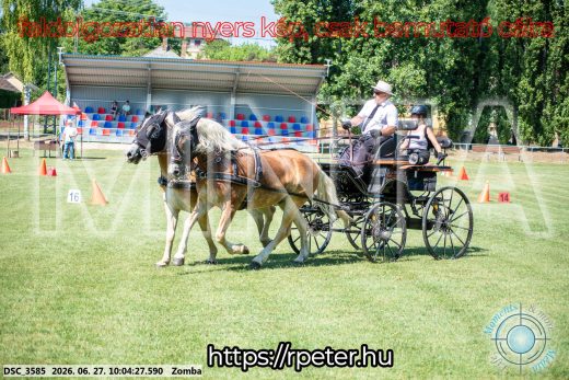 Mintakép 20260627-311