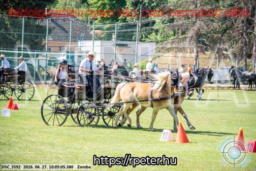 Mintakép 20260627-317